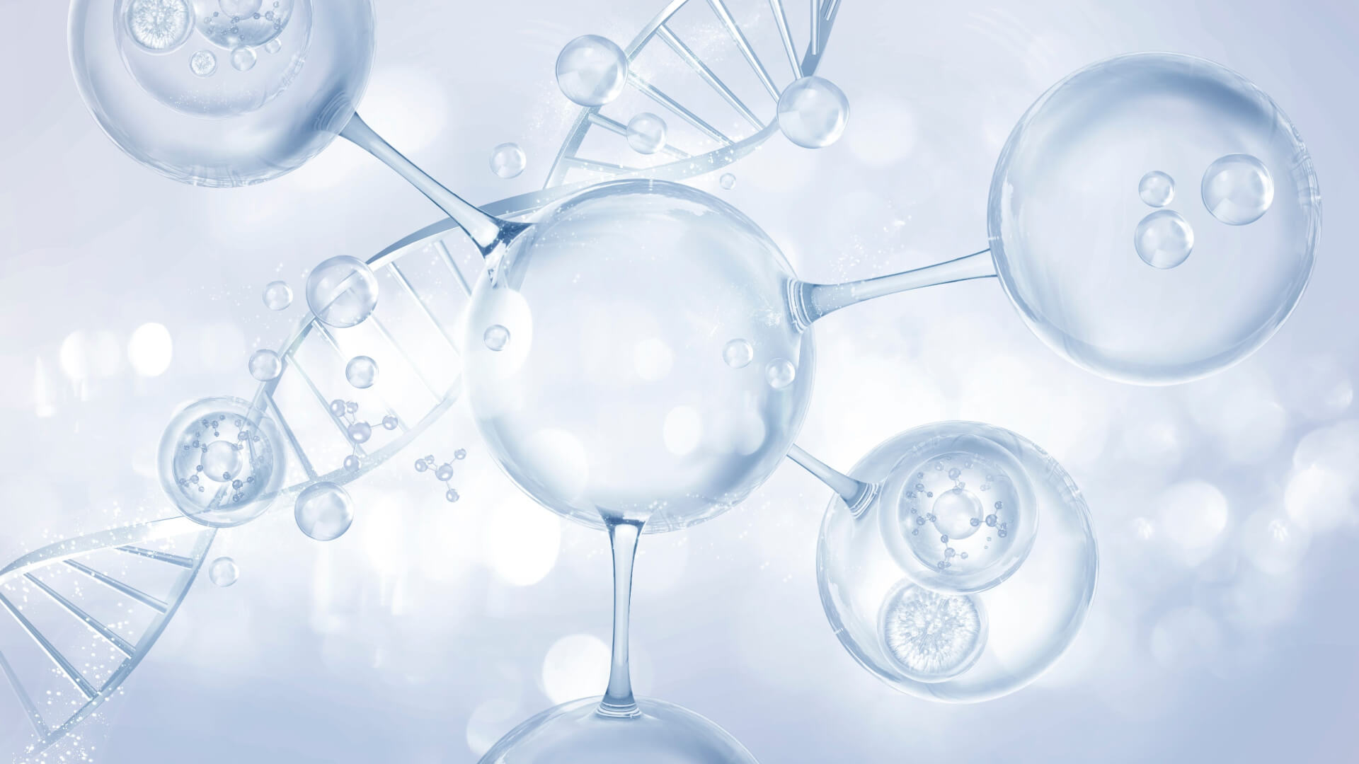 Cellular Regeneration